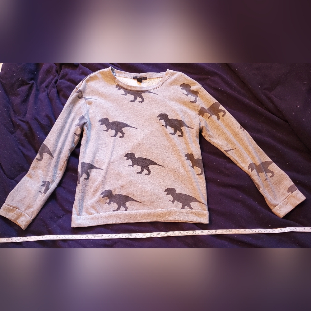 Forever 21 Dinosaur crew neck sweatshirt